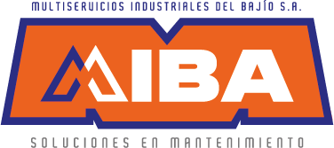 Multiservicios Industriales del Bajío